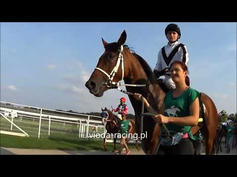 Gon. VI - 2.09.2018 - Sheblat Al Khalediah (Nayef Al Khalidiah - Mayasah Al   Khalediah)