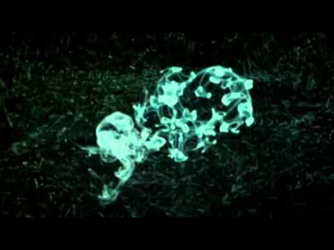 Karmin Shiff & Manuel Costa ft MAX' C - Where U Are (Protoxic Remix)