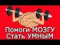 Вшей эти умные извилины в Мозг и обрети свою СИЛУ - 7 умных мыслей для достижения Больших целей Вшей эти умные извилины в Мозг и обрети свою СИЛУ - 7 умных мыслей для достижения Больших целей