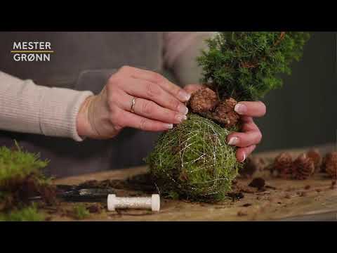 DIY: Pynt vintergrønt med mose