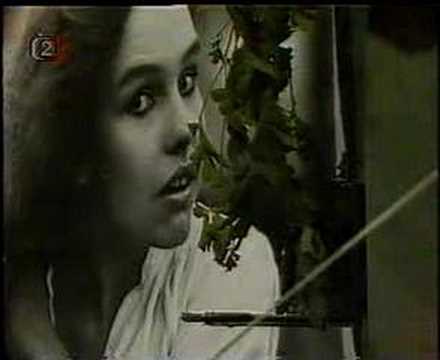 Stanislav Procházka: Znám jen tvé dívčí příjmení (1988)