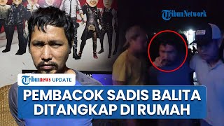 Polisi Tangkap Pembunuh Sadis Balita di Bengkulu usai 9 Jam Pengejaran, Ternyata Sembunyi di Rumah