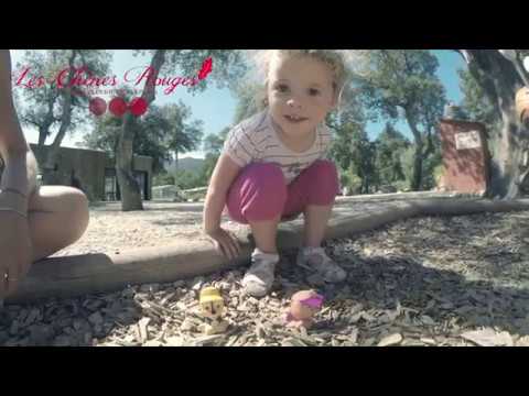 Camping FLOWER  Les Chênes Rouges - Camping Pyrenees-Orientales - Image N°2