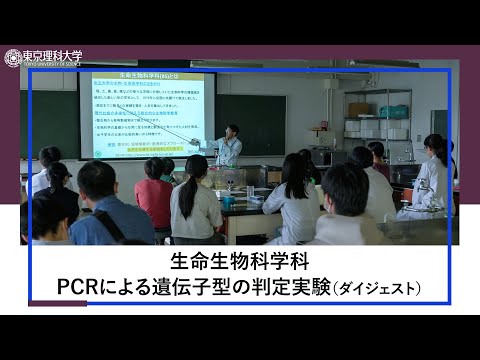 創域理工学部オープンキャンパス 生命生物科学科「PCRによる遺伝子型の判定実験」（ダイジェスト）