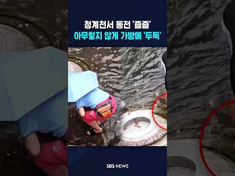 청계천 동전 싹쓸이? 영상 퍼지자 '발칵' #shorts