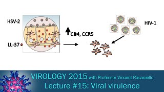 Virology 2015 Lecture #15: Viral Virulence