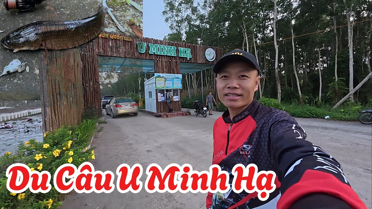 Trải Nghiệm Câu Lure Cá Lóc Đen Tại U Minh Hạ, Du Câu Miền Tây - Phần 4