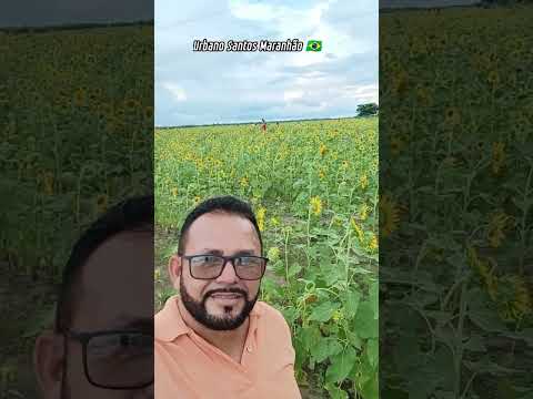 #Elson Araújo Urbano Santos Maranhão 🇧🇷