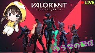 [37歳による配信]　フルパでvalo