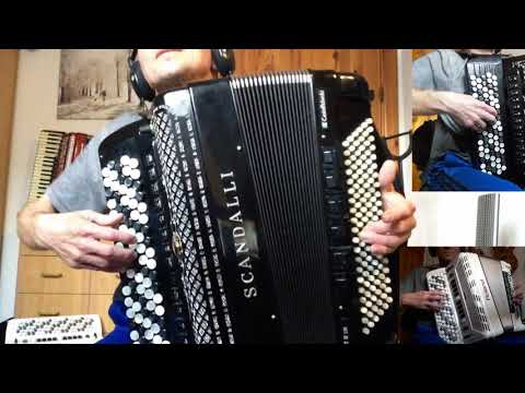 Someone You Loved - accordion cover