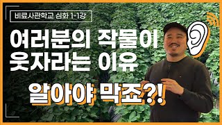 웃자람? 도장지? 원인부터 알아야 막습니다 모르면 비싼 영양제만 삽니다 |인산가리, 인산칼슘 | 비료사관학교…