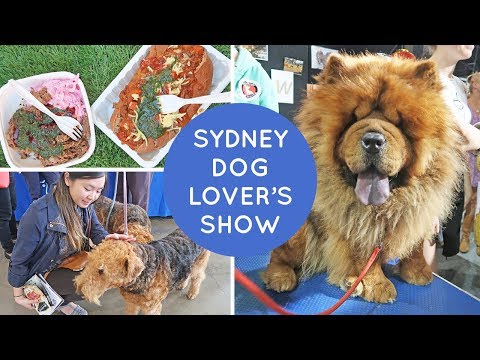 2017年雪梨愛犬展 (Sydney Dog Lovers Show 2017)
