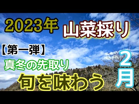 さんさいはいち