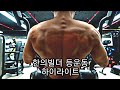 [한의빌더] 등운동 하이라이트