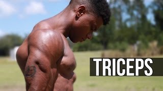 BIG Bodyweight Triceps | Top 4 Calisthenics Tricep Exercises
