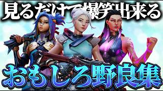 【総集編】見るだけで笑えちゃうおもしろ野良集#2【VALORANT】
