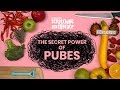The Secret Power of Pubes  | Scratching the Surface