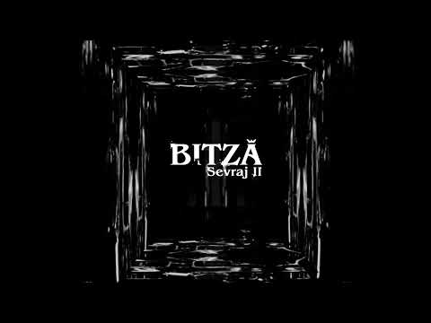 Bitza feat FreakaDaDisk - Parca nu ne pasa