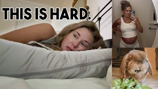 Pregnant & Caring for My Rabbit: A Real Day in the Third Trimester