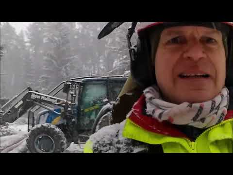 Forest job / Stihl 462 , Echo 501 SX a New Holland T507 #441