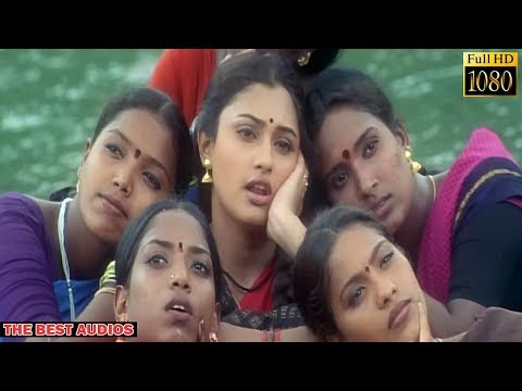Karupputhaan Ennaku Pudicha Coloru Tamil Song | Vetri Kodi Kattu movie | murali