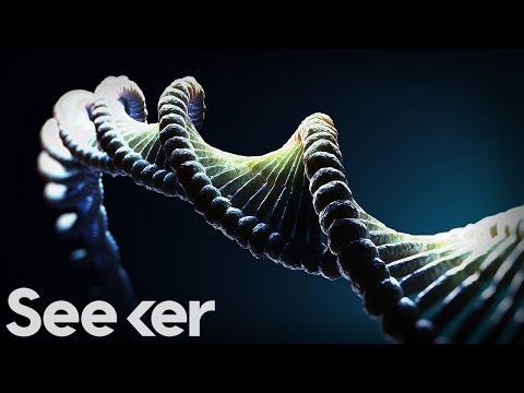 Co je to temná DNA