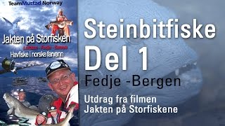 preview picture of video 'Steinbitfiske 1: Jakten På Storfisken, Steinbitfiske ved Fedje utenfor Bergen, Sportfishing Norway'