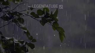 Gorillaz - Sound Check (Gravity) [Tradução/Legendado]