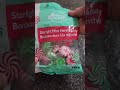 🎉🍥 EXCITED TO OPEN UP STARLIGHT MINT CANDY #satisfying #shorts #viral #trending #shortvideo #asmr
