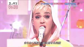 Katy Perry - Act My Age (Live)