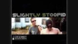 Slightly Stoopid - Officer