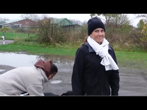 WE'RE GIVING MOM HER DREAM CAR