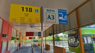 SG♥️BUS | Service 118 Changi Business Park Terminal To Punggol Bus Interchange 