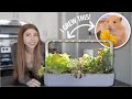 I Grew My PETS Their Own Garden