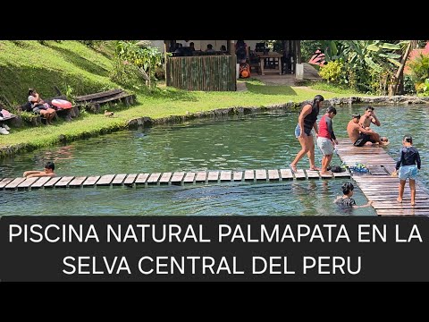 PISCINA NATURAL PALMAPATA EN SAN RAMON CHANCHAMAYO JUNIN PERU con aguas frias para combatir el calor