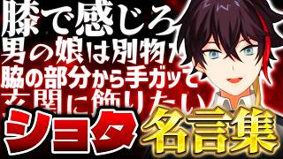 自称ショ●コンOB三枝明那の名言まとめ【にじさんじ切り抜き】