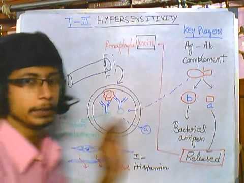 Type 3 hypersensitivity