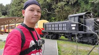 【郊遊】雲海舞秋楓～阿里山夜未眠》Cloud Sea Dancing Autumn Maple ~ Alishan Sleepless》クラウドシーダンシングオータムメープル〜アリシャンスリープレス