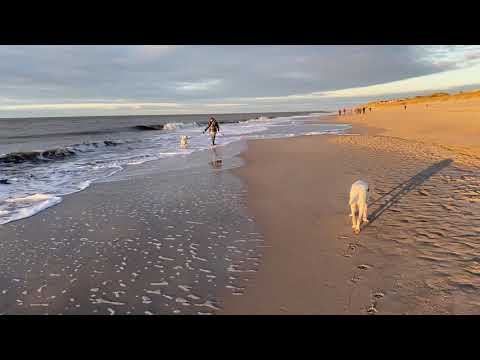 Sylt im Januar 2021 Abendsonne und nasse Füße