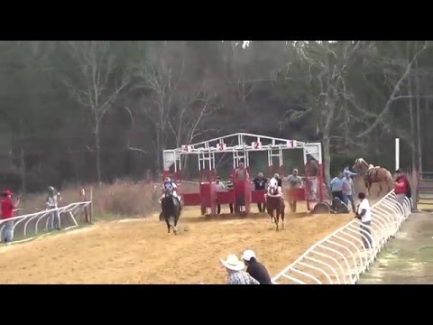 EL RETINTO VS EL ANDARIEGO GANA EL RETINTO 12/12/15