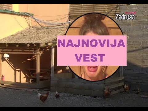 DRAMA u Zadruzi - Aleksandra doživela POMRAČENjE #zadruga #zadrugainfo