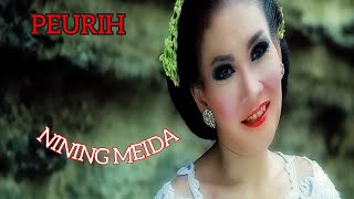 Download lagu NINING MEIDA - PEURIH mp3