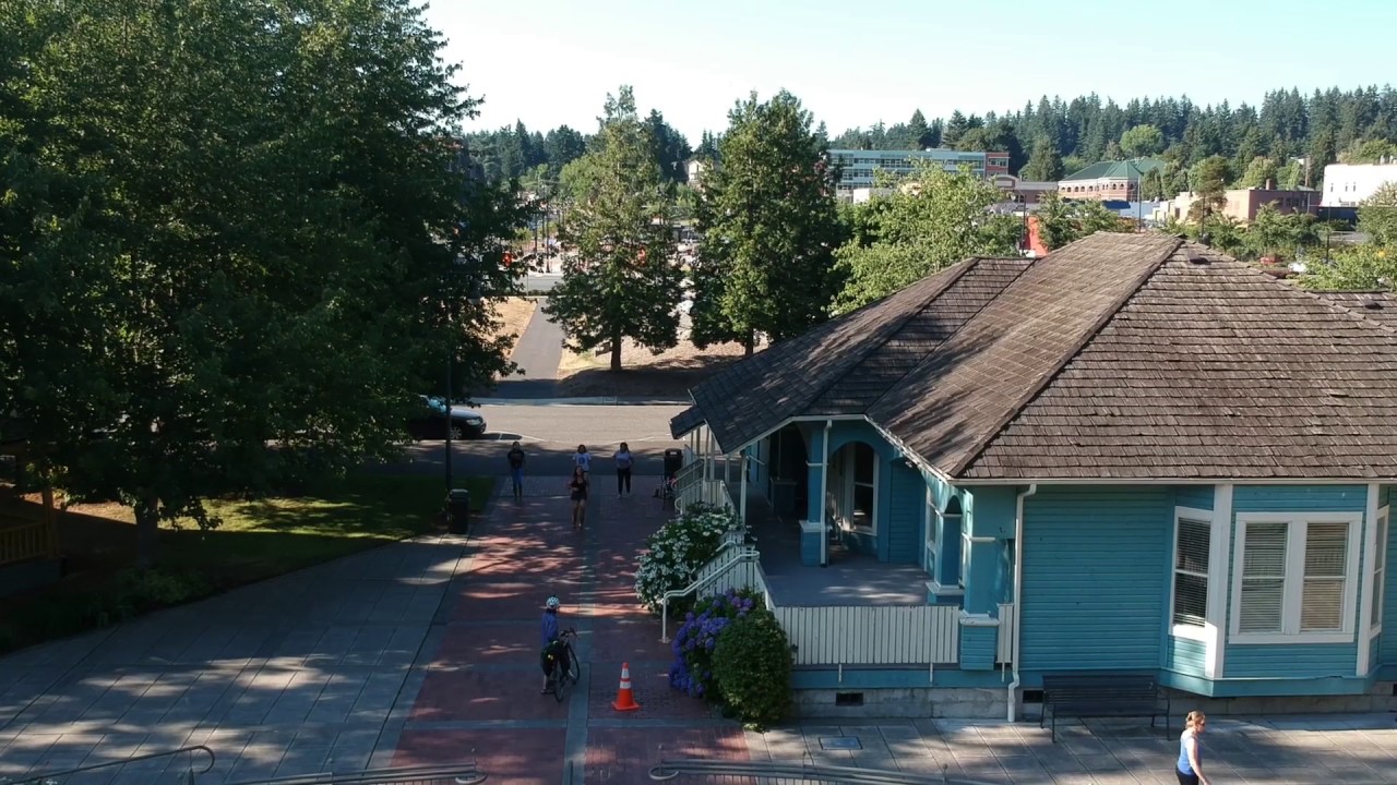 DRONE CHILLEN IN THE PARK
