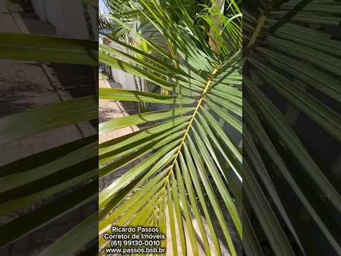 Casa com piscina e 2 pavimentos na Capoeira do Bálsamo – Condomínio Vitória, DF-015