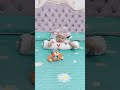 Help your baby look up and roll the monkey toy Useful Baby Product & Toys 957