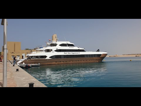 Red Sea Aggressor 3 Liveaboard Egypt - Scuba Diving Red Sea - May 2022