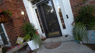 Planting up The Front Porch and Clearance Plant Shopping || Some New Lighting Products