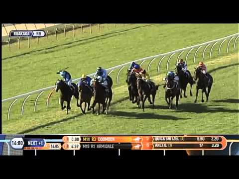 Hasselhoof Race #4 Ruakaka 12 Sep 2015, 2100m