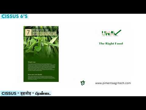 Light green cissus 6's / pirandai, tablet, packaging size: 6...