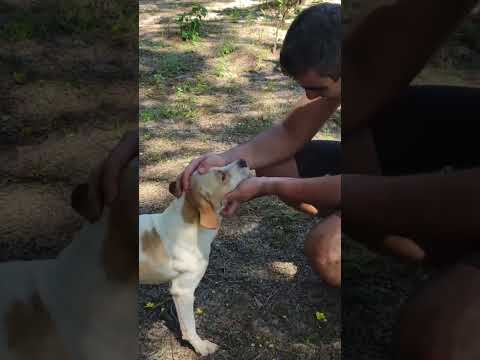 pedal no interior de Minas. de Uberaba até Delta na divisa de MG/SP. #uberaba #pedal #bike #ciclismo